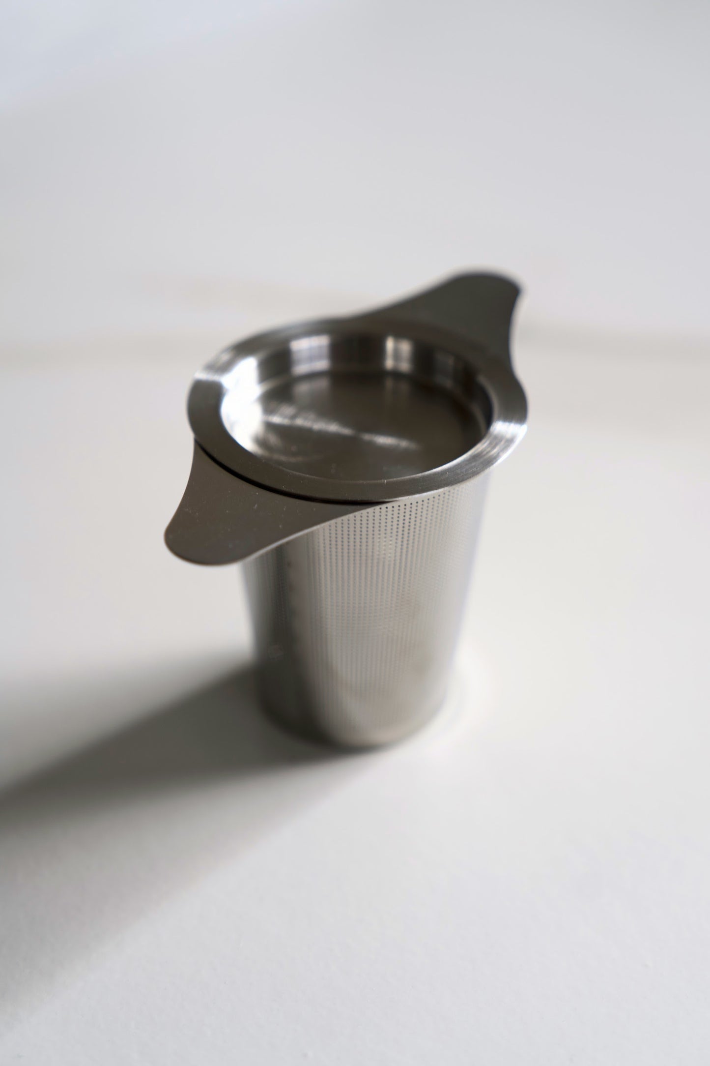 Stainless Steel Loose-Leaf Tea Infuser
