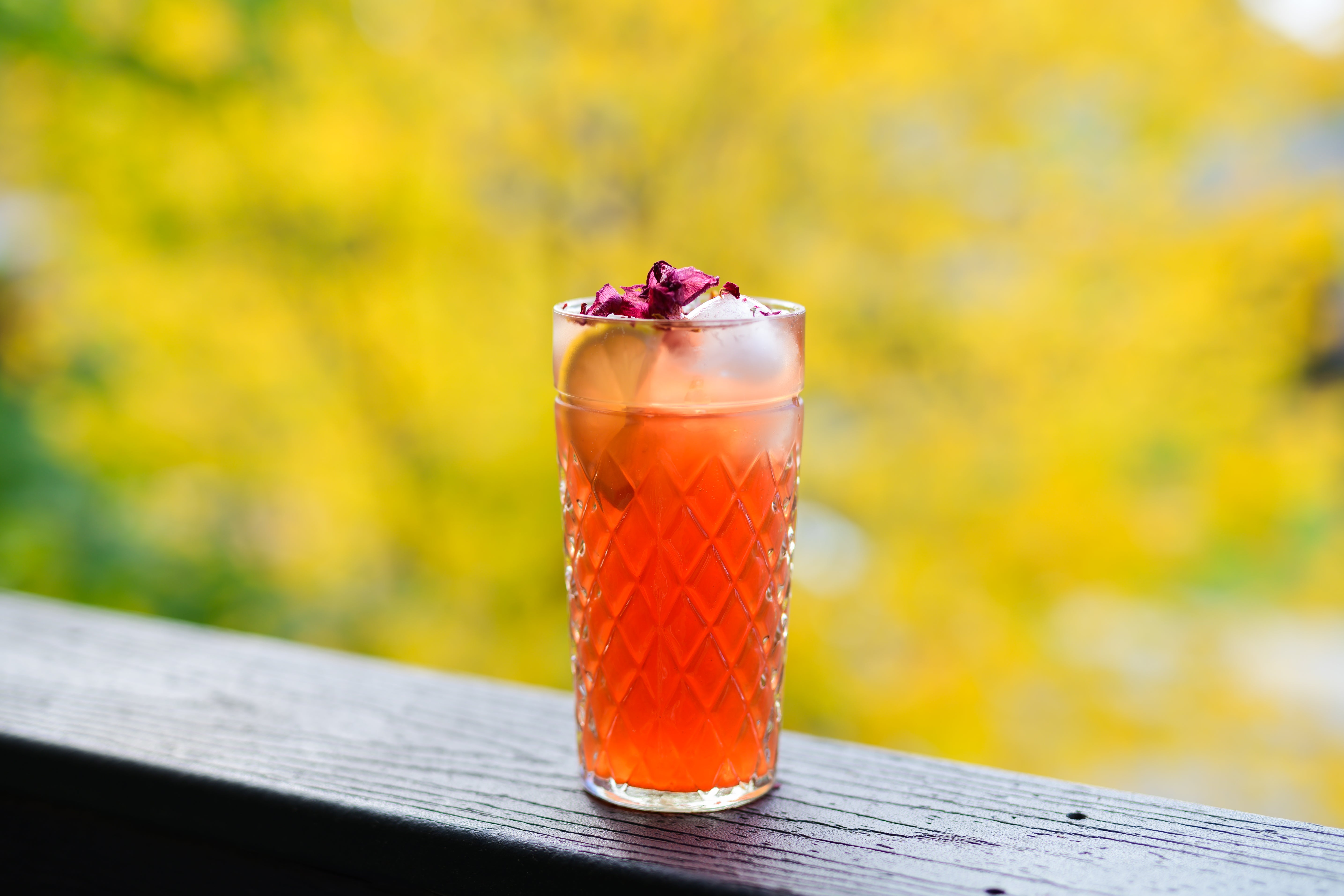 Sparkling Herbal Iced Tea Recipe – Botanica Teas