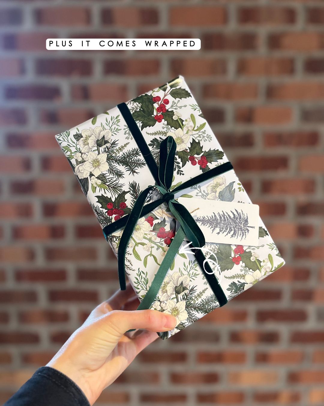 Tea Sampler Bundle | 10 Herbal Teas & Blends