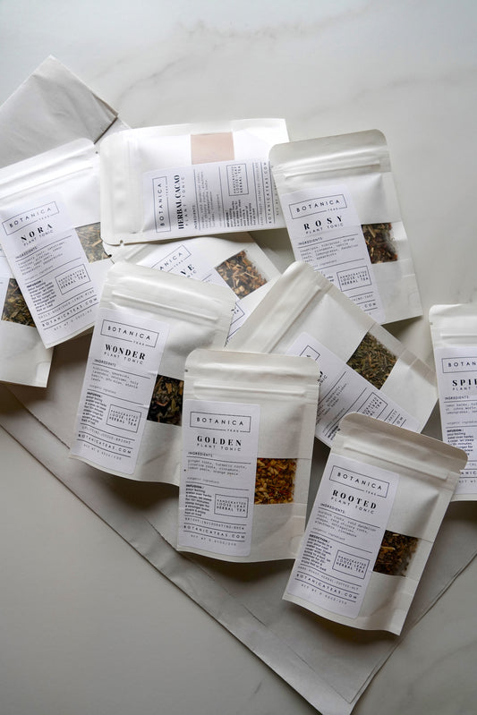 Tea Sampler Bundle | 10 Herbal Teas & Blends